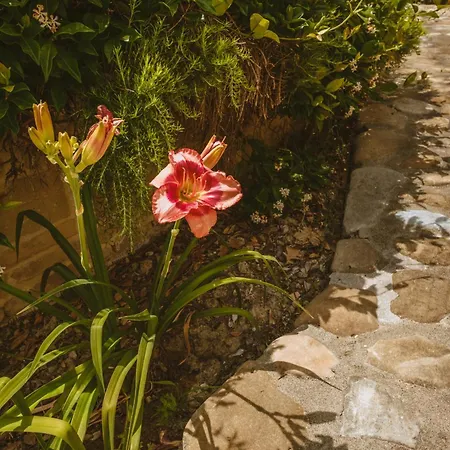 La Collina Apartamento *