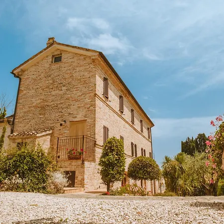 La Collina *