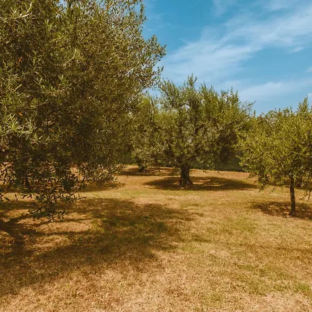 La Collina