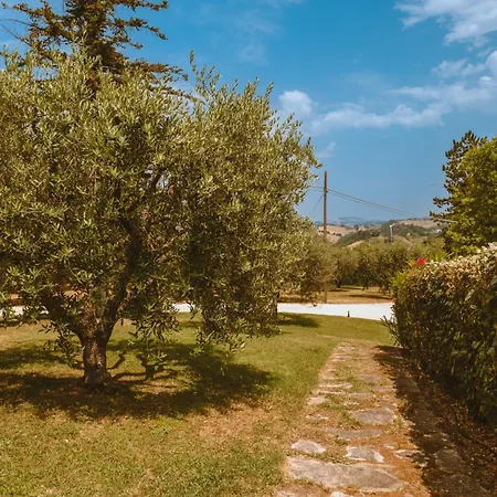 La Collina Appartamento