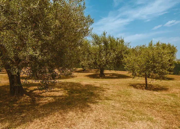 La Collina